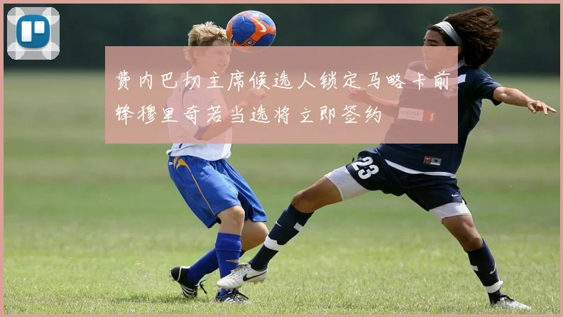 费内巴切主席候选人锁定马略卡前锋穆里奇若当选将立即签约
