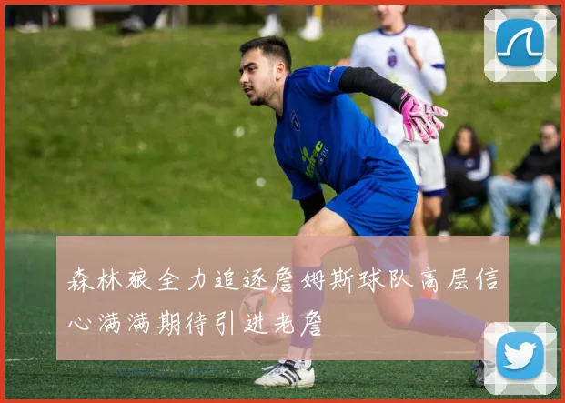 森林狼全力追逐詹姆斯球队高层信心满满期待引进老詹