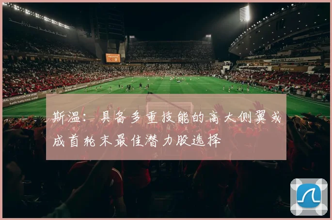 斯温：具备多重技能的高大侧翼或成首轮末最佳潜力股选择